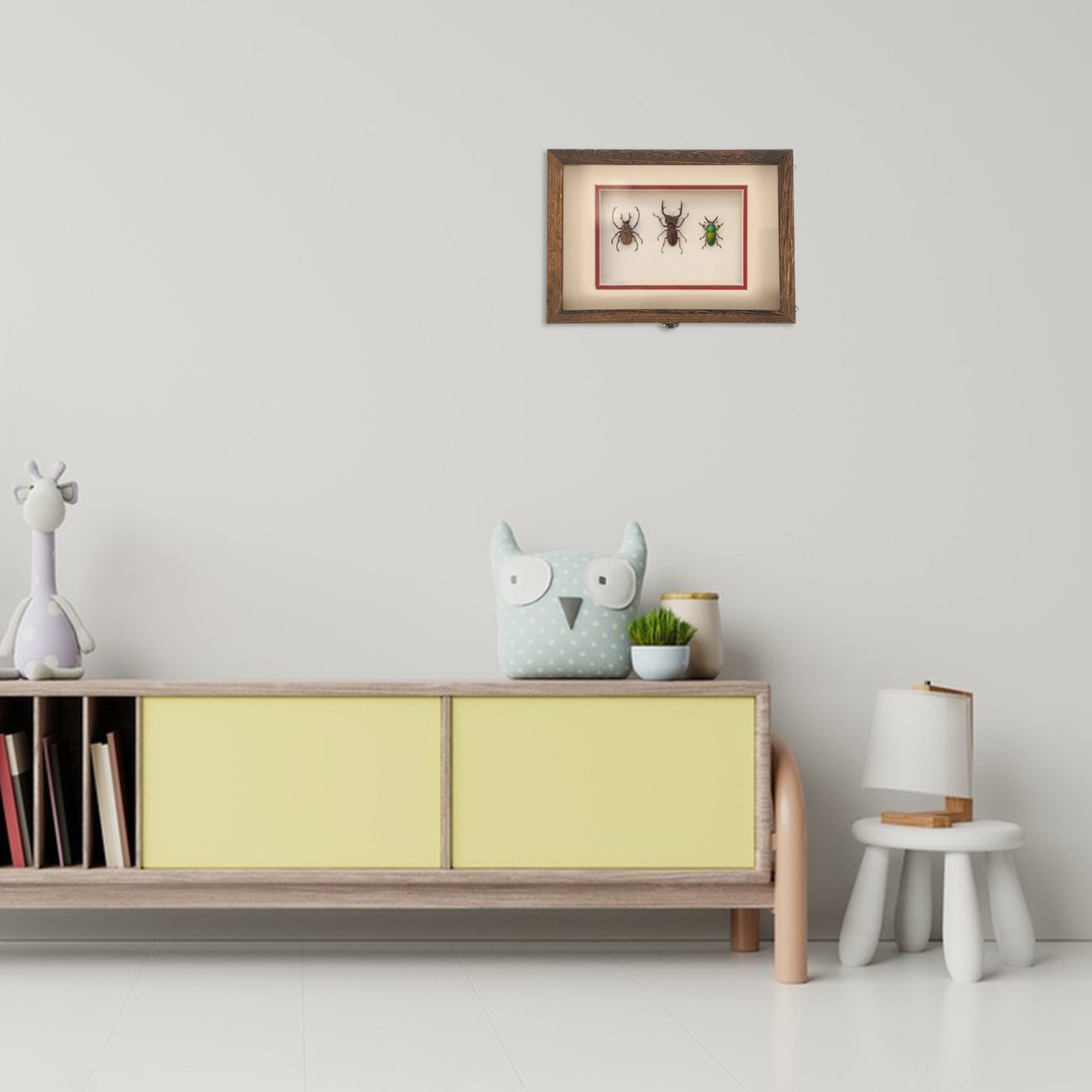Frame Display Wood - Przezroczysta, akrylowa ramka do ekspozycji owadów,