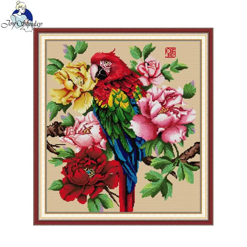 Joy Sunday Beautiful Parrot Pa – Embroidery Meaning recenzja i cena