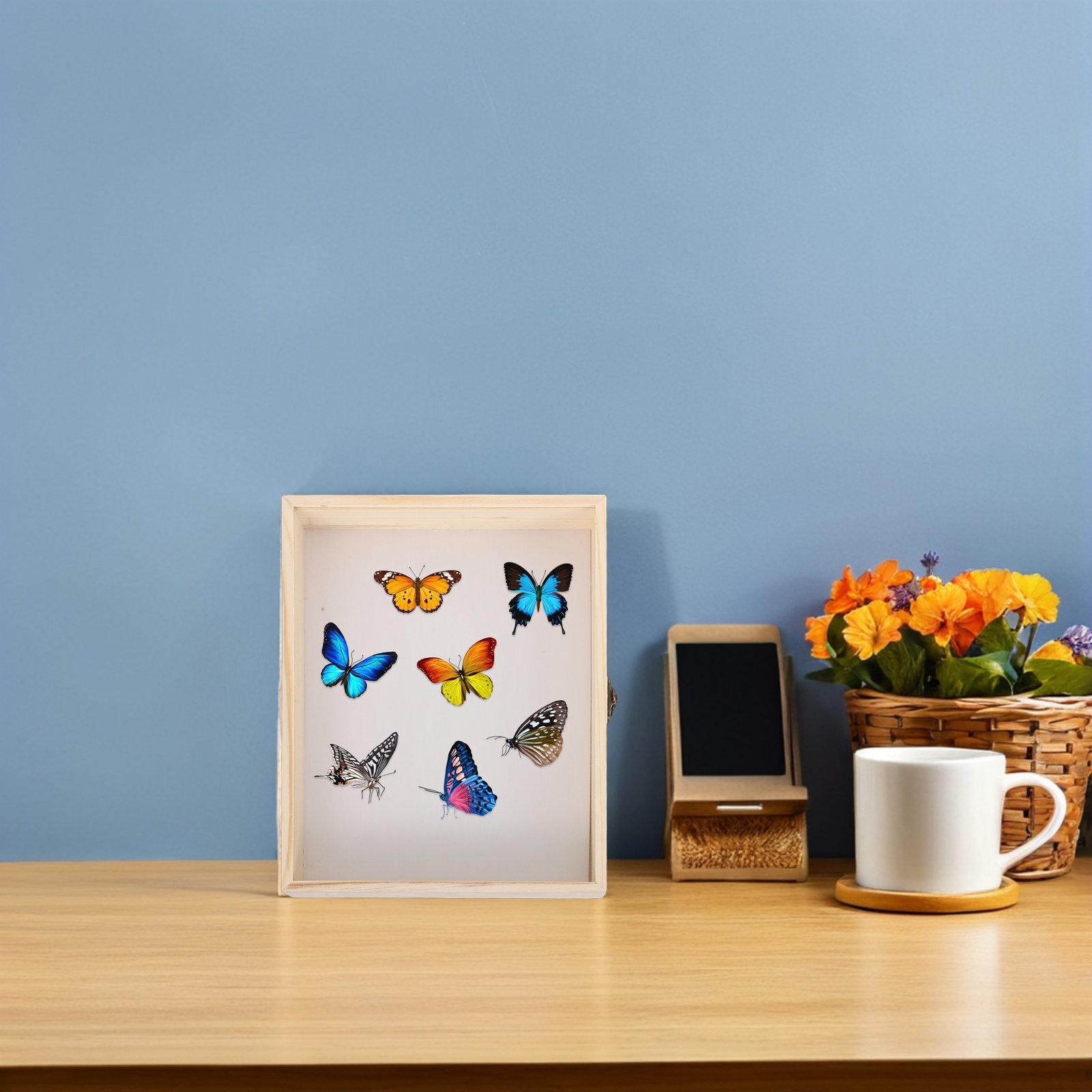 Pudełko ekspozycyjne na owady  – Frame Display Wood recenzja i cena